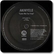 【○16】Akinyele/Love Me For Free/12''/Ak-Ta-Puss/'90s Rap/Frankie Cutlass/Deniece Williams_画像3