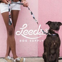 【送料無料】Leeds Dog Supply リーズドッグサプライ POOL PARTY STEP IN HARNESS ドッグハーネス Sサイズ_画像8