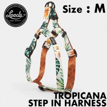 【送料無料】Leeds Dog Supply リーズドッグサプライ TROPICANA STEP IN HARNESS ドッグハーネス Mサイズ_画像1