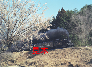 鉄道写真645ネガデータ、120900970009、C12-66＋50系、真岡鐵道、茂木～天矢場、2000.03.30、（4591×3362）