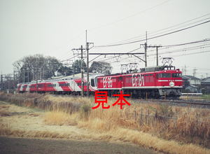 鉄道写真645ネガデータ、120900970012、EF81-95＋EF65-1118＋スーパーエクスプレスレインボー、JR東北本線、蓮田～東大宮、2000.03.31