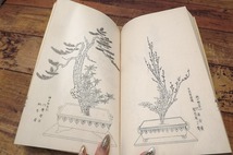 ＠旧家蔵出し　古書　華道家元古書　教養　古本　教本　歴史書　華道　生け花　ホビー　カルチャー　生け花　盆栽_画像5