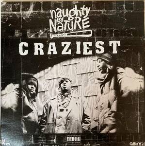 95'HipHop / CRAZIEST / naughty by NaTuRE