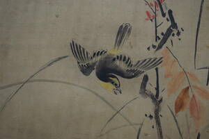 Art hand Auction [عمل أصيل] //Shunobu Kano / أوراق الخريف والزهور والطيور / صندوق عنوان Paulownia مع صندوق مزدوج / Hotei-ya لفافة معلقة HH-968, تلوين, اللوحة اليابانية, الزهور والطيور, الطيور والوحوش