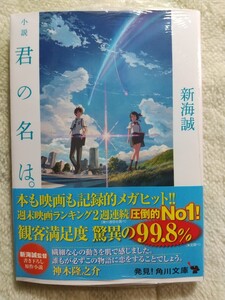 君の名は 小説