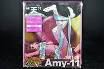 CD 初回限定仕様 爆裂天使 SUIT CD 天 Amy-11 中古 エイミー 高橋美佳子_画像1