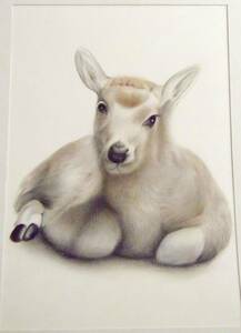 〇色鉛筆画 宅配80サイズ 動物 (107×280) 絵画, 美術品, 絵画, 鉛筆画、木炭画