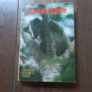 カラー日本の野生動物 田中光常 山と渓谷社