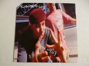 Bloodhound Gang / mama say ■USオリジナル盤 ミクスチャー オルタナ beastie boys