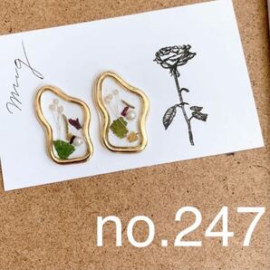 ピアス イヤリング 樹脂 レジン ドライフラワー アクセサリー ハンドメイド 花 かすみ草 ゴールド パーティー 二次会 結婚式