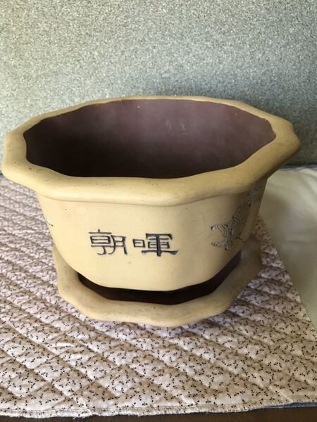 骨董品 朝暉 報春 盆栽鉢 中国 植木鉢 鉢 器 花瓶 花器 中古美品