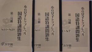 浜学園 (2020年度) 小６ 女子トップレベル 国語特訓問題集　第一分冊～第三分冊