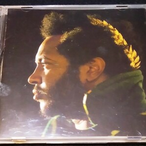 Thundercat / Apocalypse★サンダーキャット Flying Lotus 国内盤+1曲 フライング・ロータス 盤キズの画像1