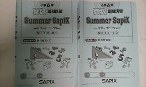 サピックス ＳＡＰＩＸ＊サマーサピックス 夏期講習＊６年＊算数＊αクラス 応用発展＊全１８回 完全版／開成 桜蔭 筑駒 灘 難関＊2019年