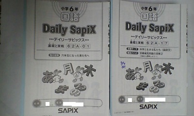 少し豊富な贈り物 ３年 デイリーサピックス 国語 サピックス SAPIX 