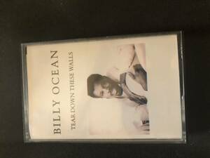 極美品　BILLY OCEAN/TEAR DOWN THESE WALLS ビリー・オーシャンimport