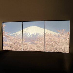  canvas print art Fuji . Sakura interior picture 