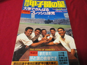 【高校野球】輝け甲子園の星　1983年夏季号　OB球児回顧＆第65回夏の選手権大会予選展望号（昭和58年）