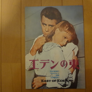 映画パンフレット エデンの東