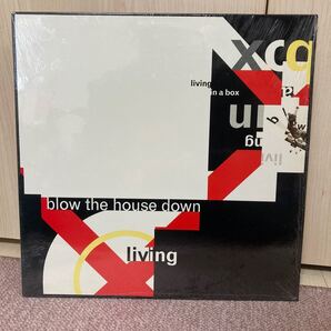 LIVING IN A BOX 12インチレコード