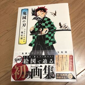 鬼滅の刃 吾峠呼世晴画集-幾星霜-