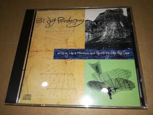 J5031【CD】ポイ・ドッグ・ポンダリング Poi Dog Pondering / Wishing Like a Mountain & Thinking Like the Sea