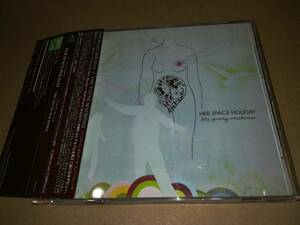 J4999【CD】ハー・スペース・ホリデイ Her Space Holiday / the young machines