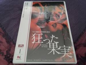 ◆DVD◆ 狂った果実　石原裕次郎/北原三枝　HDリマスター版　未使用品　=送料￥180=