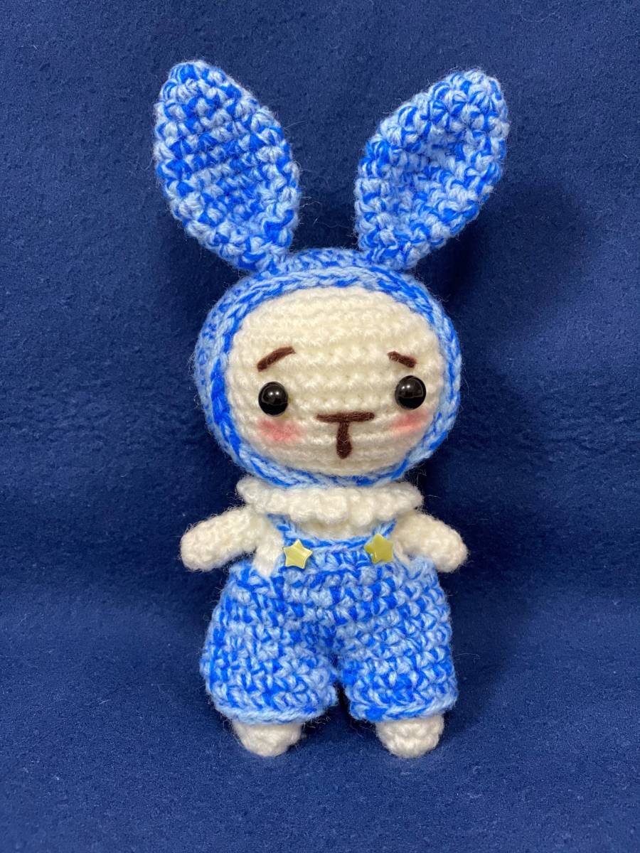 Knitted doll, handmade, little rabbit siblings, one boy, ornament & hug, toy, game, stuffed toy, Amigurumi