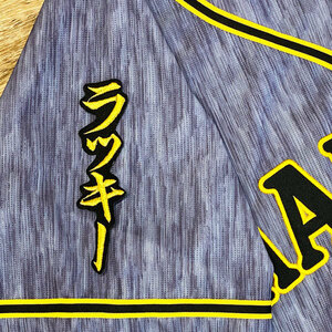 ★送料無料★阪神　タイガース　ラッキー　ネーム 2　黒布　応援　刺繍　ワッペン　ユニフォーム