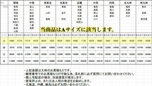 【ご希望のカラーで！】塗装 カラー アクア 前期 中期 後期 H23/11～ サイドステップ スポイラー 単品 【シンプルスタイル 】 5_画像6