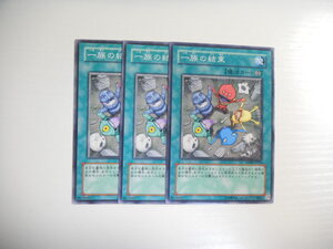 ヤフオク 一族の結束の中古品 新品 未使用品一覧 ヤフオク 一族の結束の中古品 新品 未使用品一覧