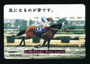 ●208●川崎競馬★ロジータ・『風になるのが夢です。』 【オレンジカード500円券】●