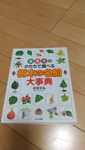 葉実木のかたちで調べる樹木の名前大事典 植物 図鑑
