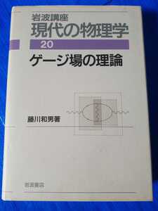 藤川和男　ゲージ場の理論　岩波書店