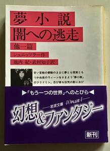 夢小説　闇への逃走　他一篇　シュニッツラー　岩波文庫