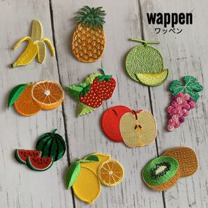 フルーツ 果物★刺繍アイロンワッペン10枚