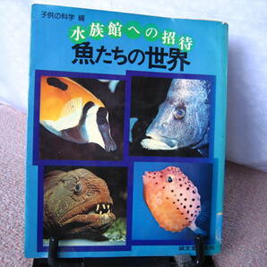 【送料込み】『魚たちの世界～水族館への招待』子供の科学/誠文堂新光社//////新装発行版