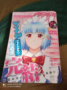 また値下げしました♪(^^)月刊ヤングキング 2016年8月号 ツマヌダ格闘街最終話掲載 環望 上山道郎 ISUTOSHI　