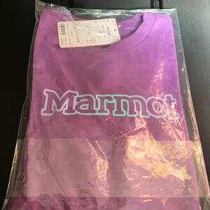 Mサイズ Marmot Tシャツ マーモット