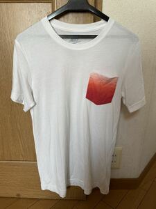 NIKE(ナイキ)太陽デザイン　SLIM FIT半袖ポケットTシャツ