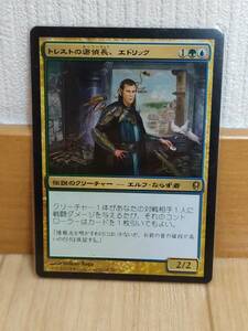 ★☆MTG　【日】トレストの密偵長、エドリック/Edric, Spymaster of Trest[金R]【CNS】★☆ 全ての商品同梱可能