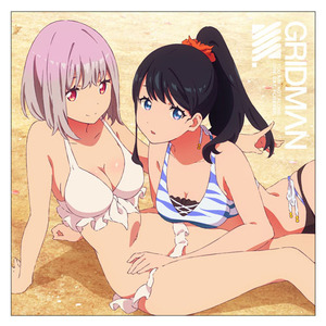 アカネ ＆ 六花 クッションカバー SSSS.GRIDMAN グリッドマン 枕カバー 水着 ビキニ 巨乳 美少女 入手困難 期間限定セール! 美品 正規品