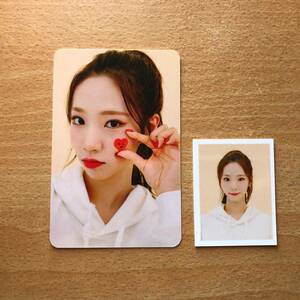 YEOREUM(yorum) cosmos young lady WJSN 2021 year SEASON'S GREETINGS official goods photo card &ID Picture 2 point set 