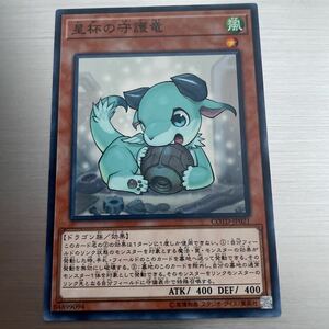 遊戯王 星杯の守護竜　ノーマル COTD-JP021 遊戯王カード