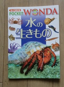 ◆「もって歩ける　POCKET WONDA 水の生きもの」◆ポプラ社:刊◆