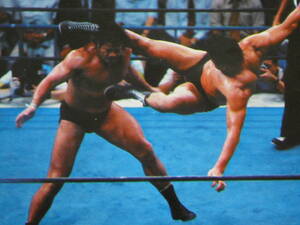 еженедельный гонг 1985 год 10 месяц 10 день номер New Japan Professional Wrestling Tokyo физическая подготовка павильон собрание Anne tonio. дерево VS глициния волна ..