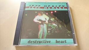 JEFF HEALEY BAND ジェフ・ヒーリー・バンド『DESTRUCTIVE HEART』
