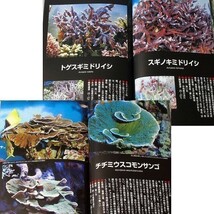 本編は良品レベルのコンディションです