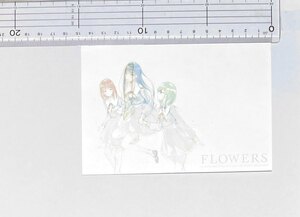 ★同梱可能★ FLOWERS 『 イラストカード 』 Innocent Grey